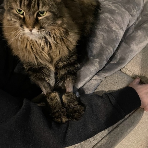 Hobo Bag by Express - Picture 8 of 10